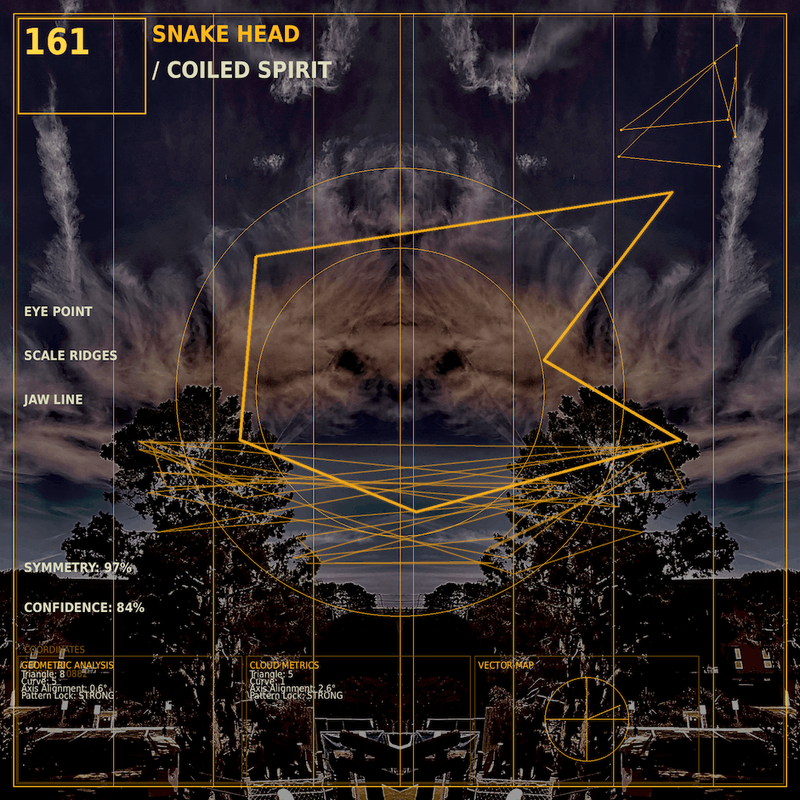 Snake head