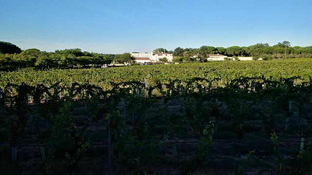 Lisboa, Portinho de Arrábida, Azetao, Sesimbra - Portugal desde el Algarve hasta Lisboa (1)