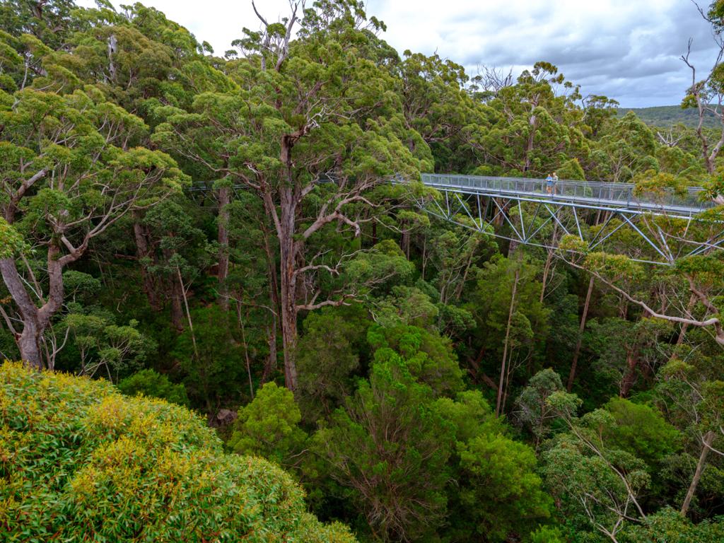 Tree Top Walks di Margaret River.