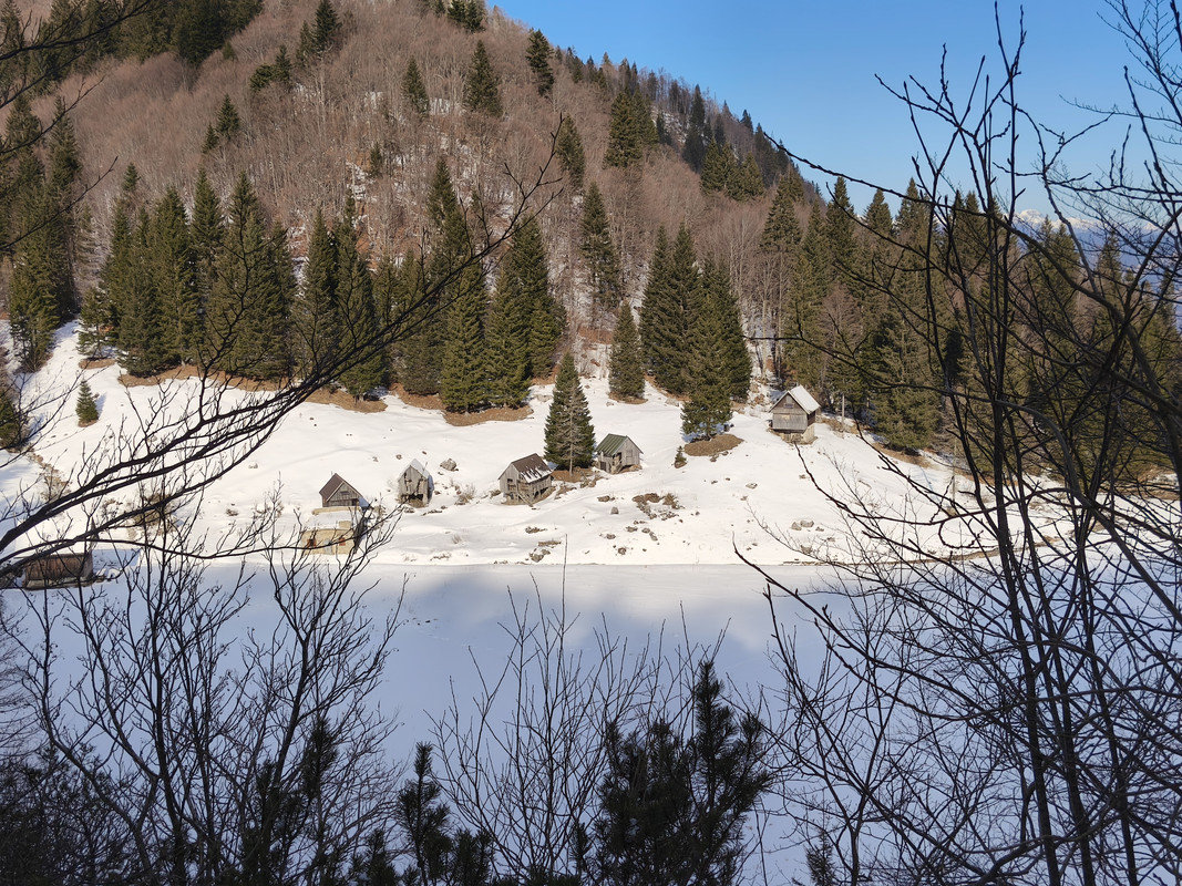 IMG_20250208_110001