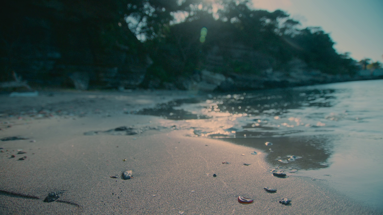 vlcsnap-2023-07-31-13h36m14s185