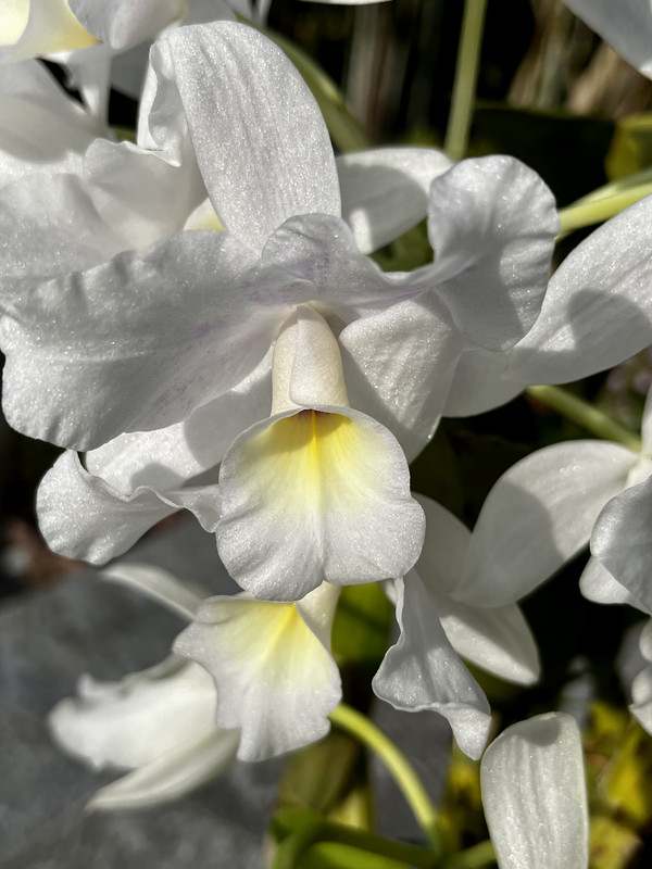 824AED03-634E-4C5E-A946-8D8751C5AF97