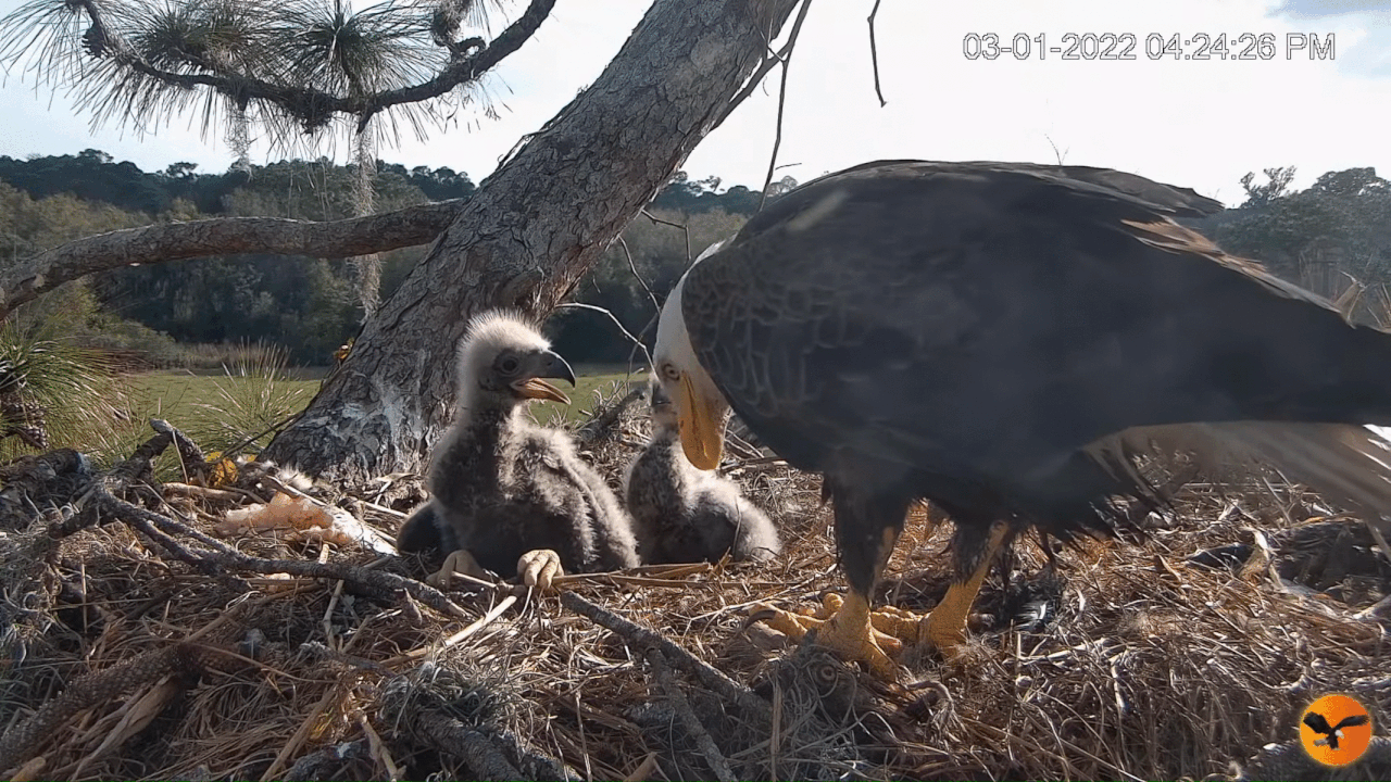 Webp.net-gifmaker (1)