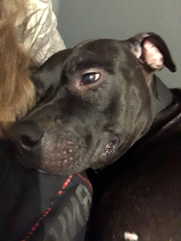 D9E9D239-5507-401D-98EF-404341B778EC