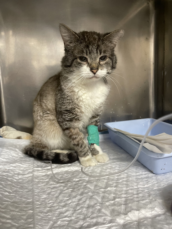 031AFE29-3592-4CA7-BE6E-4F09E9FBD55A