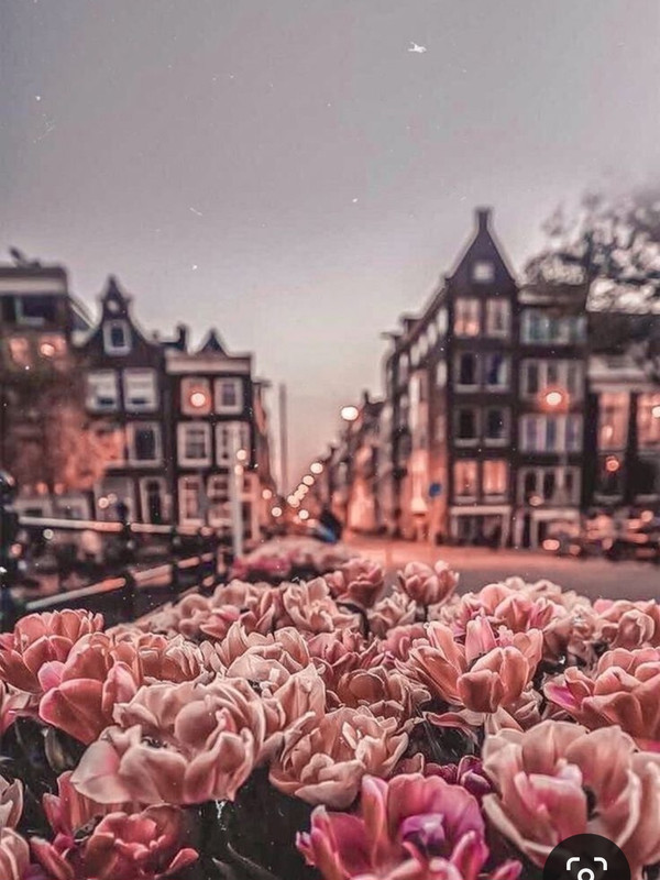 Screenshot_20231002_220743_Pinterest