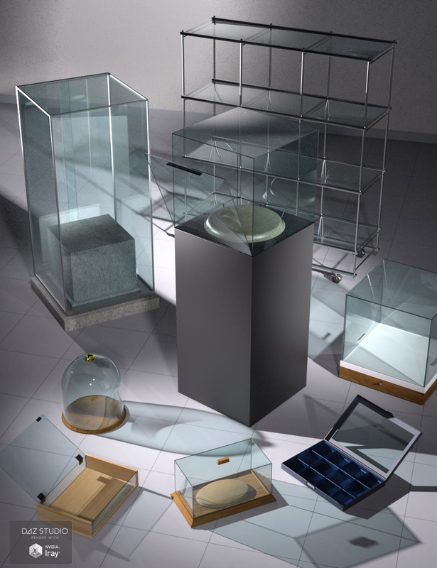 Everyday Display Cases Everyday Display Cases