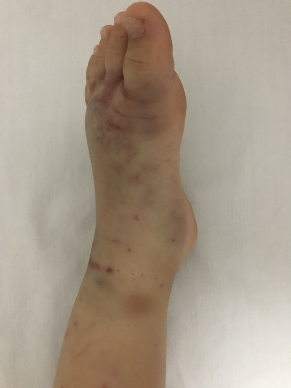 D4-D7888-C-03-CB-4228-B0-F9-6-CECF7-F1-F84-B