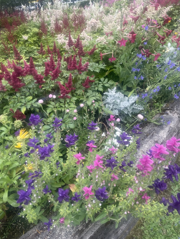 5FA781CB-13D3-40A4-948A-6472D4464C9E_1_105_c