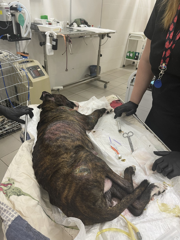 45FA805F-63AA-4B14-96EB-81E7BF2CF111