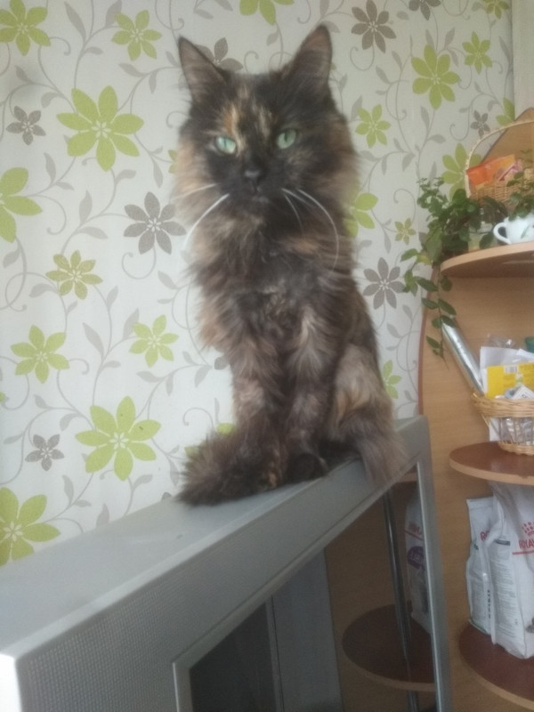 682558FE-2AC3-407C-A0E7-FE0B148F125E