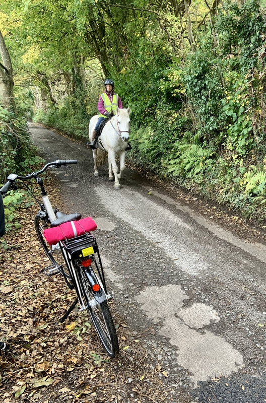 4EDB7177-618F-427E-81FF-EF6D0C61471A