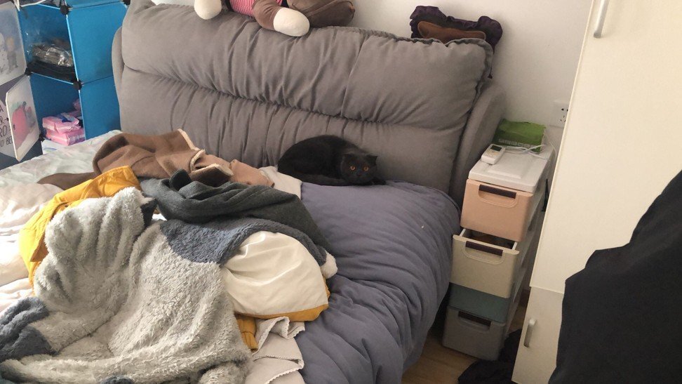 Wuhan Pet Life Online