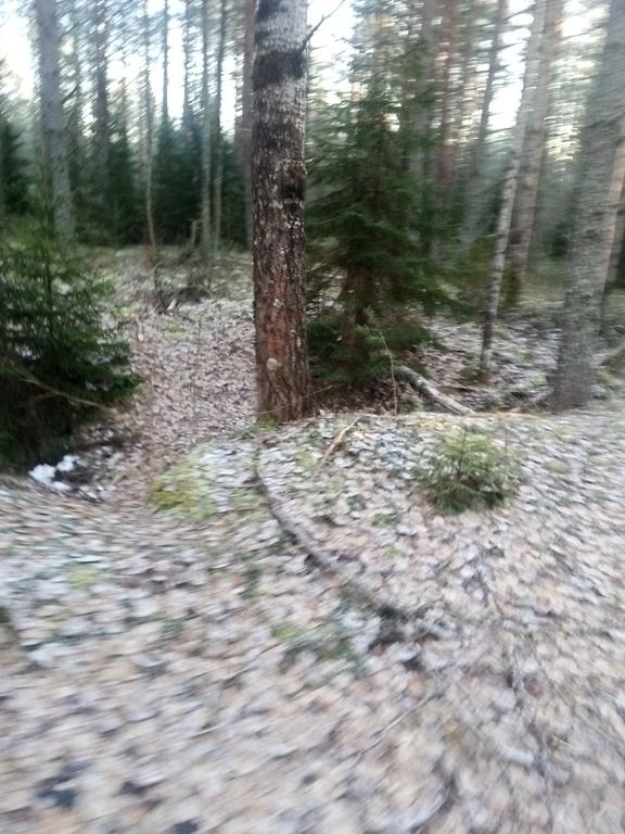 IMG 20251214 110225 481