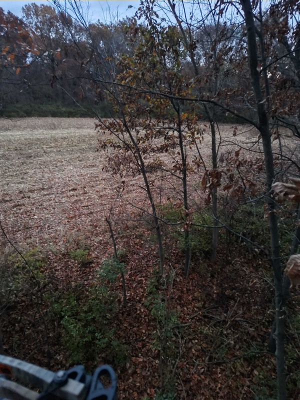 IMG_20241103_061311057