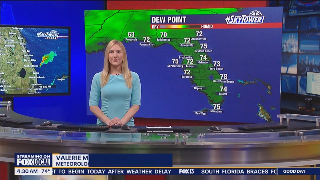 FOX13s Good Day Tampa Bay at 400am_20240614_09000930.ts_snapshot_30.53.209