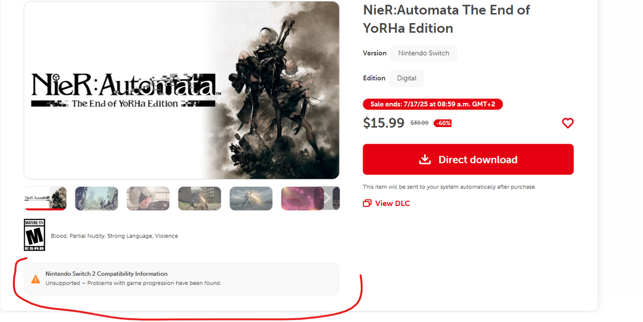 nier.png