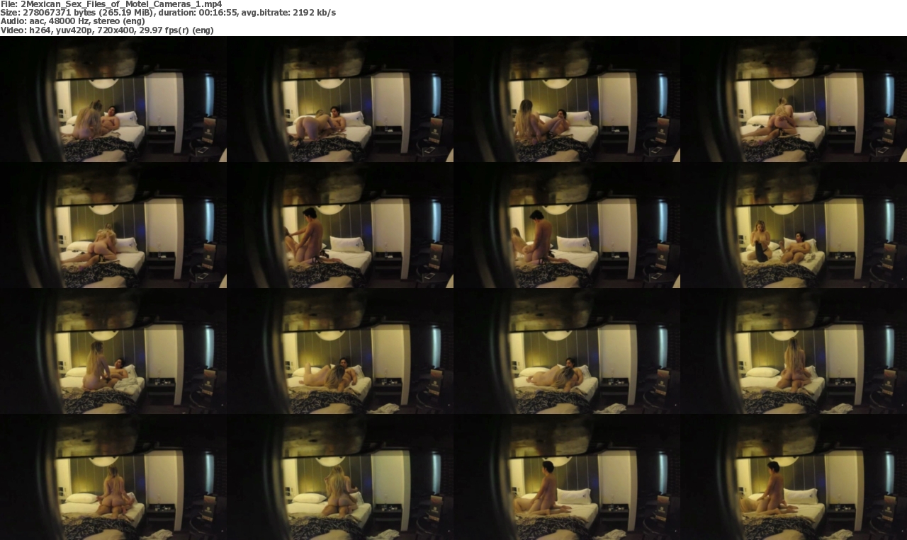 03092022135612screenshot