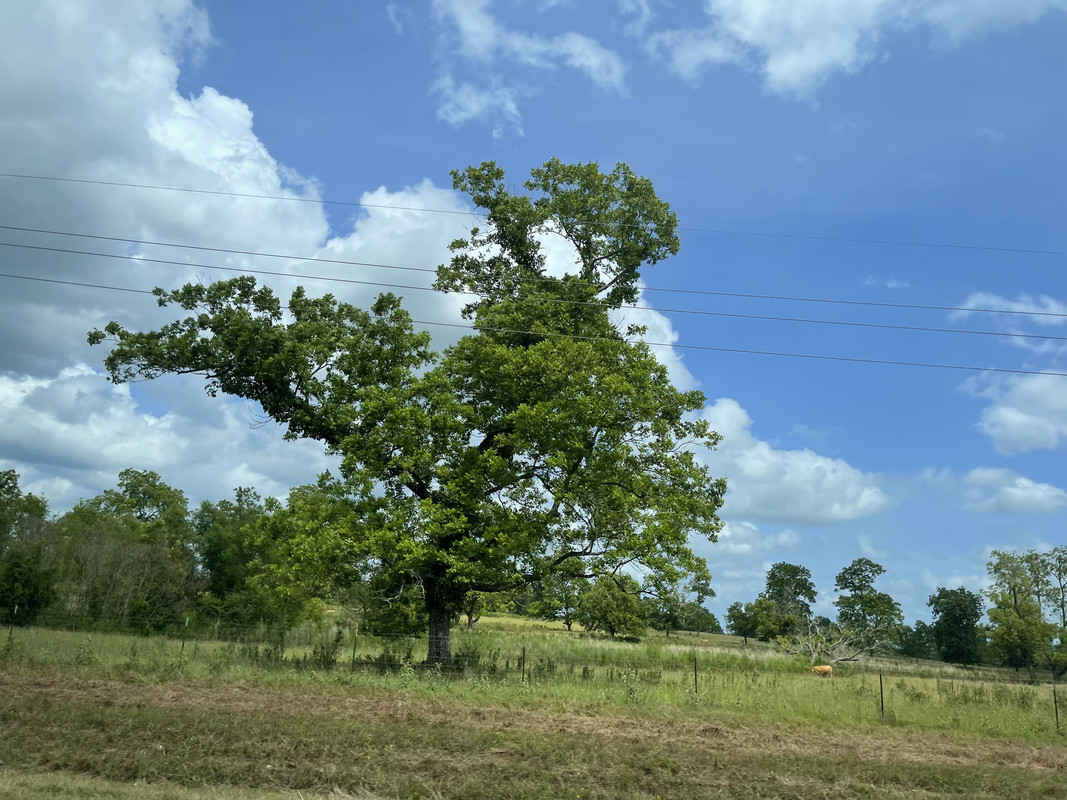 97B9316E-29BD-4E80-A8DB-7B0D48CF52E4