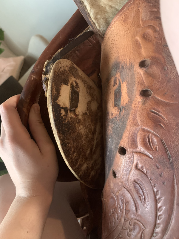 FB1846E6-FB35-4866-8791-72968CB13515