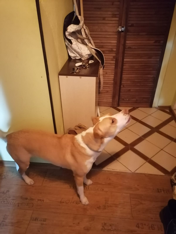 E1FB530C-FBEC-44E7-8D8A-64A97C2A98E8