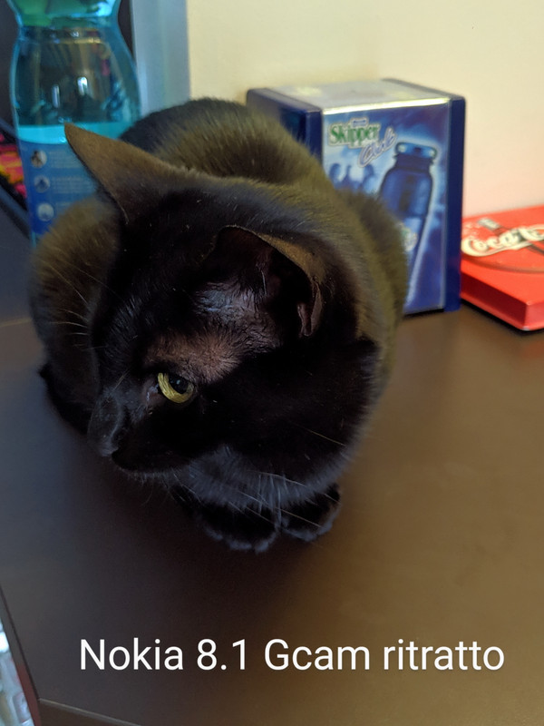 00000IMG_00000_BURST20200503202754198_COVER~2_resize