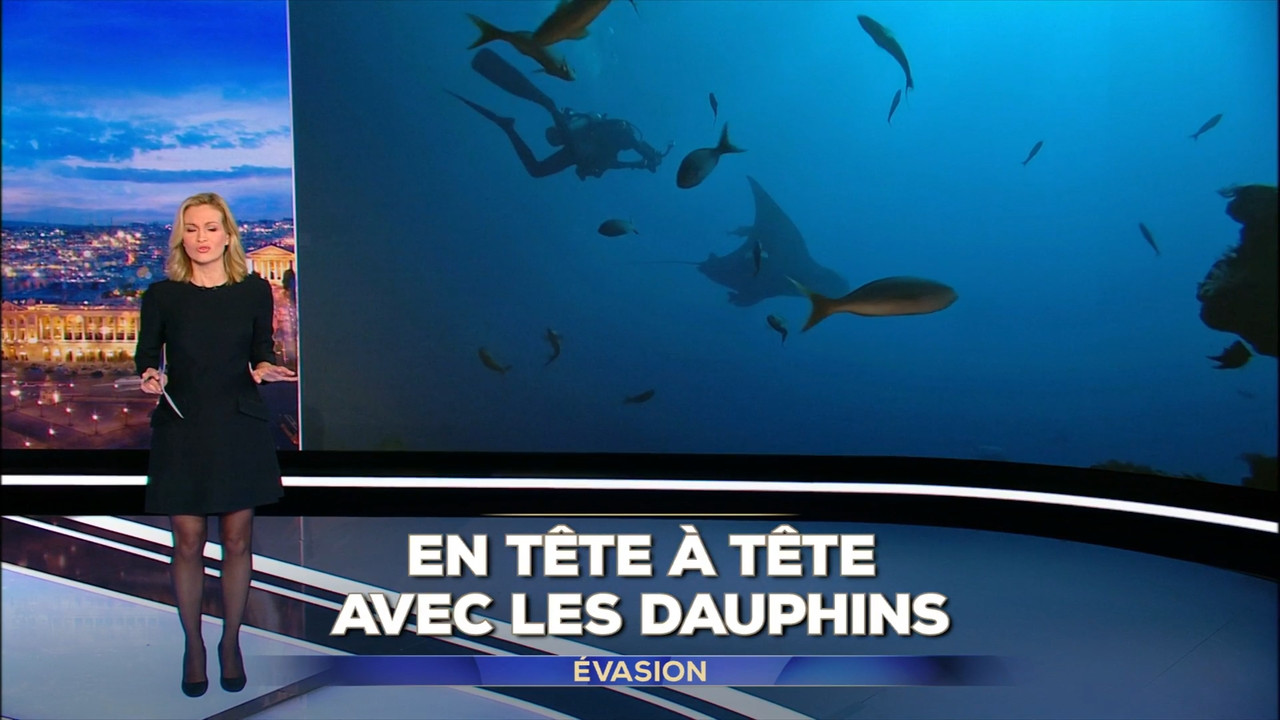 2021-12-25_20_00_TF1_Le-20h.mp4_snapshot_00.04.29.646