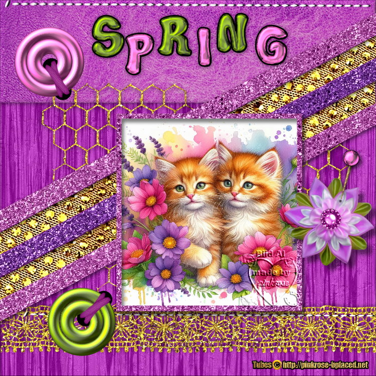 An den Beitrag angehängtes Bild: https://i.postimg.cc/HLhf2jcN/Template-januar2020-pinkrose2.jpg