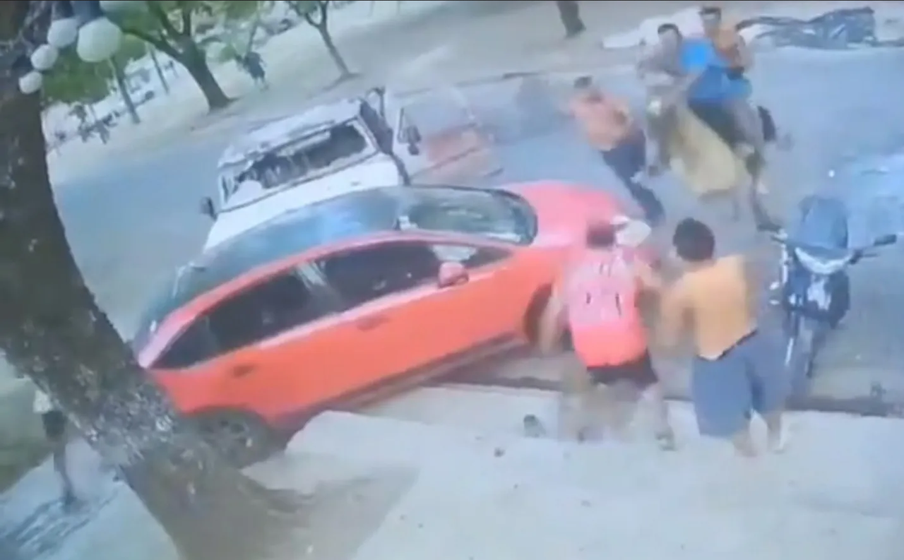 Captan pelea callejera entre perros, conductores y hasta un caballo: video viral