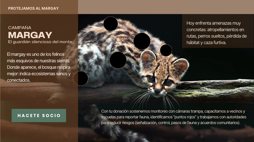 Captura de pantalla 2025 10 23 a la s 5 13 09 p m