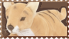 made by @transmascgarfield on tumblr