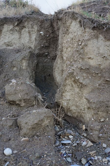 DSC05295_kinogorodok