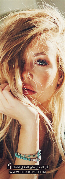 ���� ���� ������ �� ���� ������