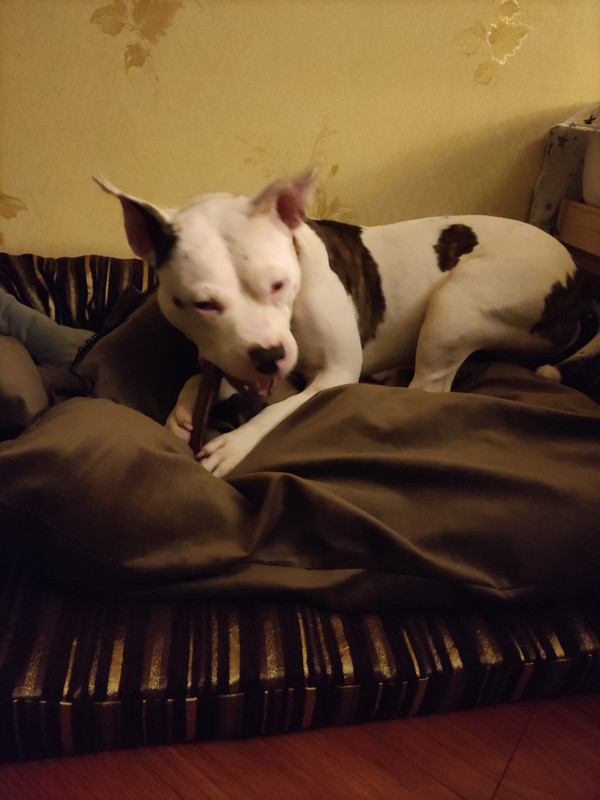 DA9EB1F2-F467-4F21-BEBE-BC06439E2FD2