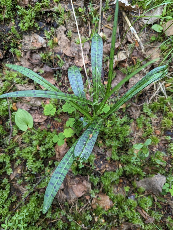 PXL_20230603_102519841