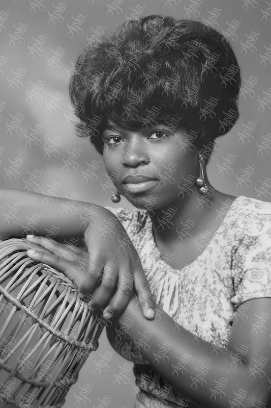 Replacement Obvious13 2