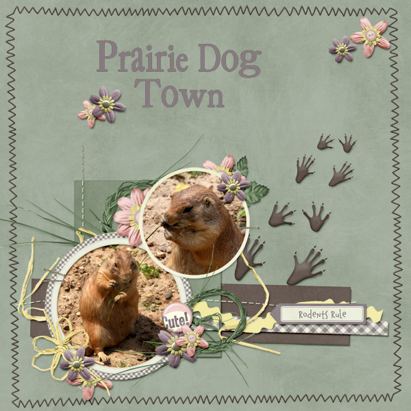 Prairie-Dogs-Kmess-SPTemplate3-2.jpg