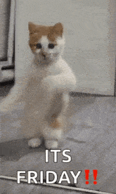 friday.gif