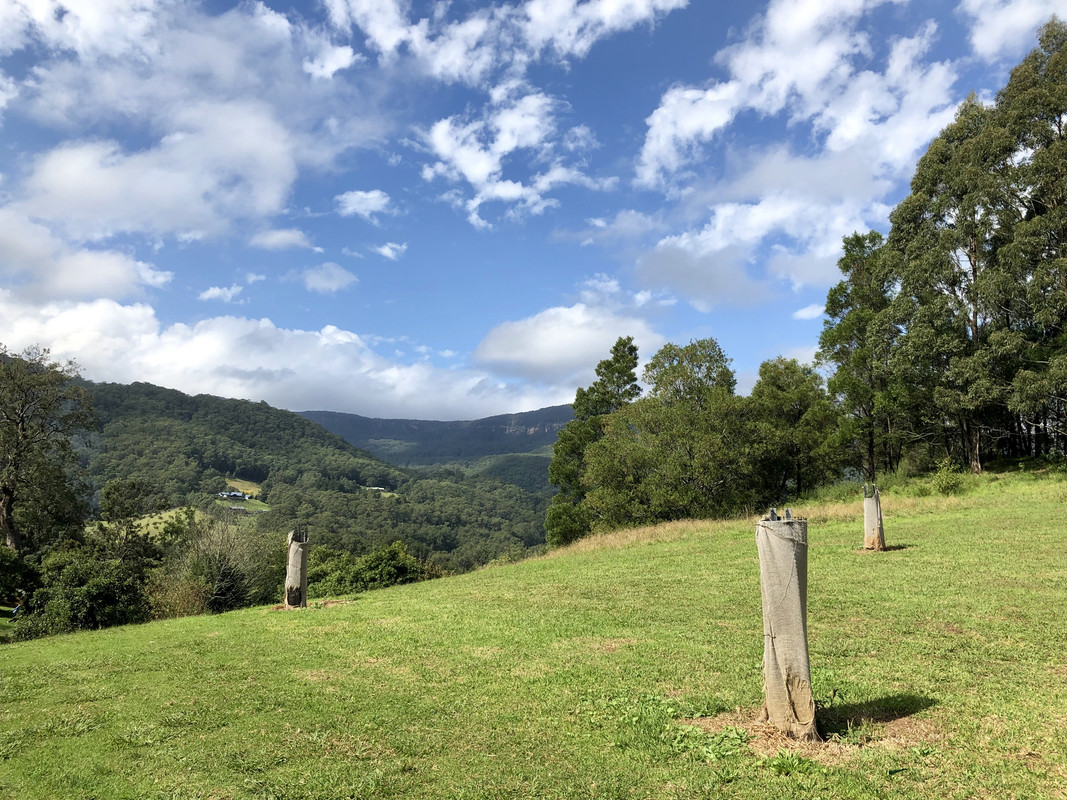 43-BFC780-A3-DF-4-E3-F-B6-D2-708-FD25-F5