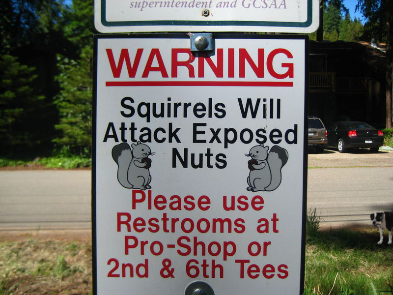 funny-signs-photo-1.png