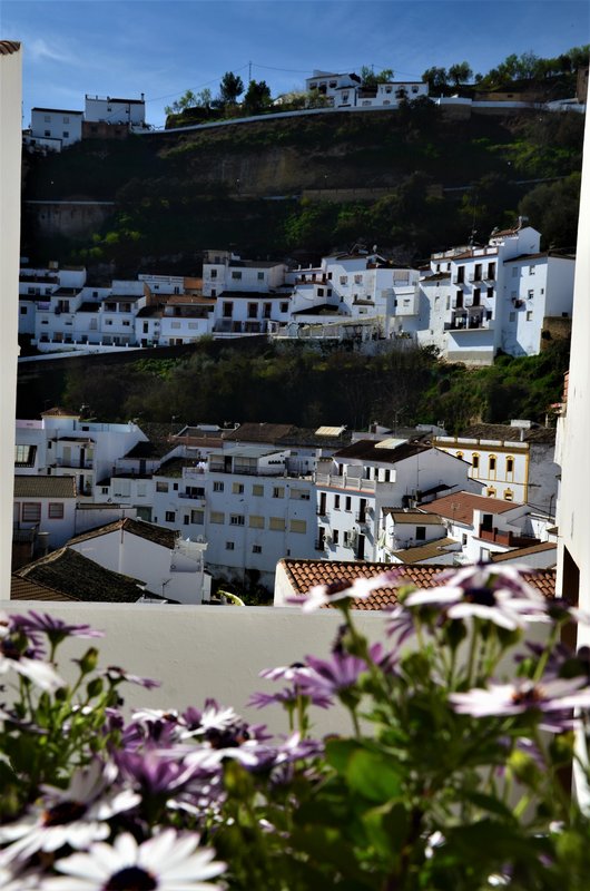 CADIZ Y SUS PUEBLOS-2017 - Blogs de España - SETENIL DE LAS BODEGAS-7-3-2017-CADIZ (38)