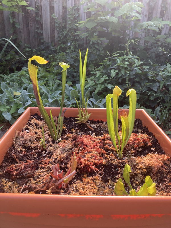 4BF186C4-F985-48A5-8CC9-4B5770B5C4DF