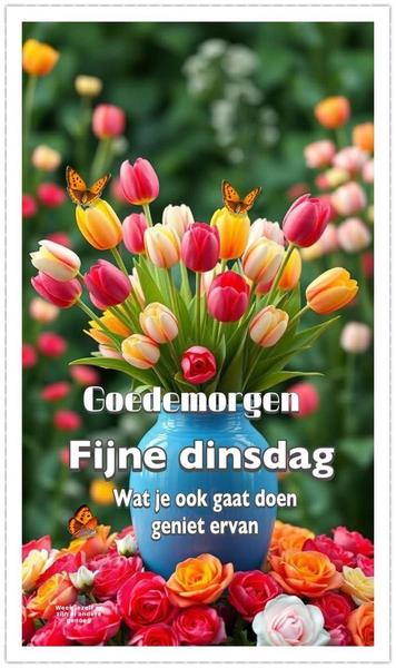 7afe0afae2d5cbf2f794cce593c9b9e3.jpg
