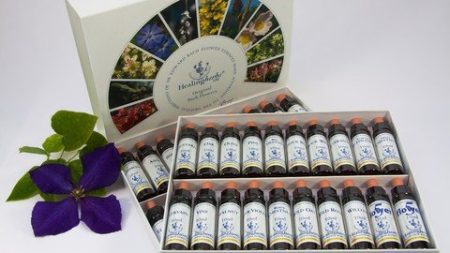 Energy healing with Flower Remedies Energy healing with Flower Remedies