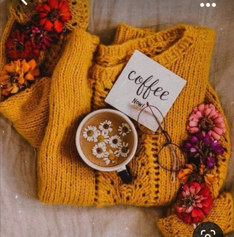 Screenshot_20231031_220527_Pinterest