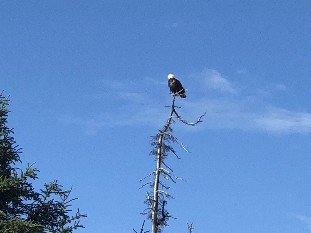 9DDC6266-9E81-4ABD-AABD-BB5CC8A892C1