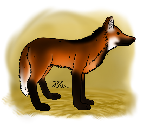 Foxtail-Adult.png