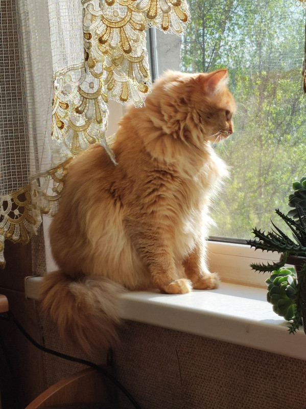 IMG_20230923_113812_152