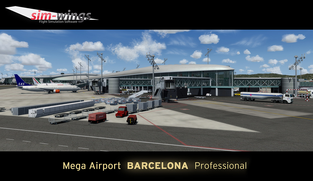 barcelona-professional (15)