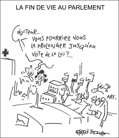 text alternatif